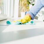 Green Cleaning 101: Eco-Friendly Solutions for a Healthier Home
