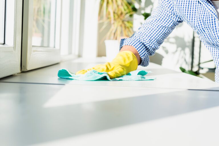 Green Cleaning 101: Eco-Friendly Solutions for a Healthier Home